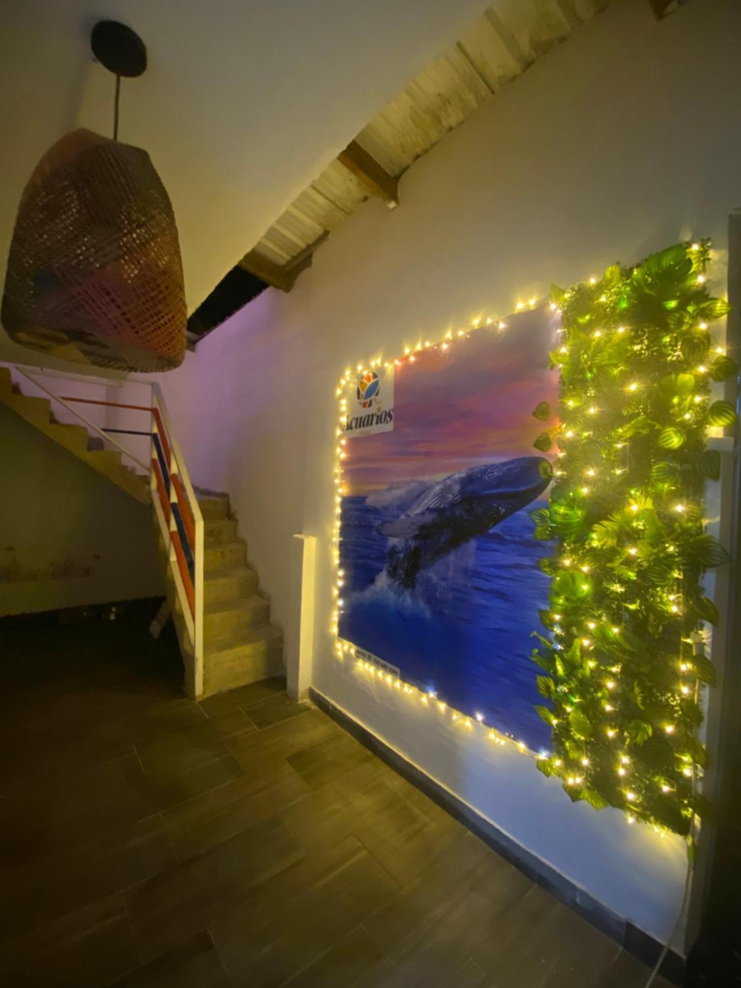 Acuarios Hostal Playa Ladrilleros Dış mekan fotoğraf